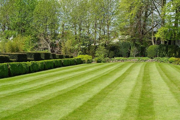 Marks Landscapers